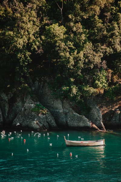 The day next to the trees on the surface of the brown boat
